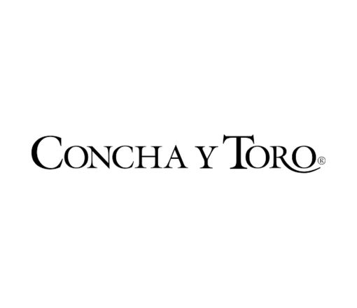 Vinho Concha Y Toro Garrafa